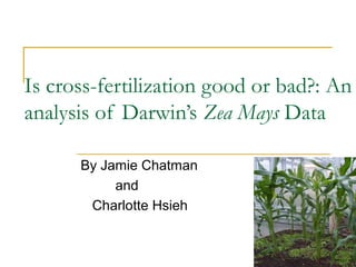Is cross-fertilization good or bad?: An
analysis of Darwin’s Zea Mays Data
By Jamie Chatman
and
Charlotte Hsieh
 