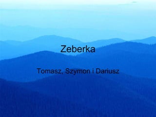 Zeberka Tomasz, Szymon i Dariusz 