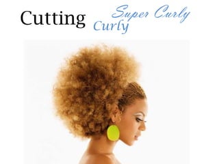 Cutting     Super Curly
          Curly
 