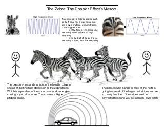The Zebra: The Doppler Effect’s Mascot
If we consider a zebras stripes such
as the frequency of waves we can
see a more material demonstration
of the doppler effect.
On the face of the zebra you
see many small stripes, so high
frequency
One the butt of the zebra we
see many stripes, thus low frequency.
=
The person who stands in front of the herd is going to
see all of the ﬁne face stripes on all the zebra faces.
Which is equivalent of the sound waves of an engine
coming at you all at once. This creates a higher
pitched sound.
The person who stands in back of the herd is
going to see all of the larger butt stripes and not
so many ﬁne line. If the stripes are then
converted to sound you get a much lower pitch.
 