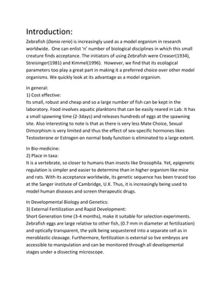 Zebra fish | PDF