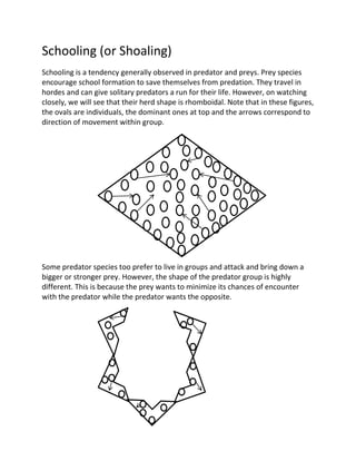 Schooling (or Shoaling)
Schooling is a tendency generally observed in predator and preys. Prey species
encourage school formation to save themselves from predation. They travel in
hordes and can give solitary predators a run for their life. However, on watching
closely, we will see that their herd shape is rhomboidal. Note that in these figures,
the ovals are individuals, the dominant ones at top and the arrows correspond to
direction of movement within group.




Some predator species too prefer to live in groups and attack and bring down a
bigger or stronger prey. However, the shape of the predator group is highly
different. This is because the prey wants to minimize its chances of encounter
with the predator while the predator wants the opposite.
 