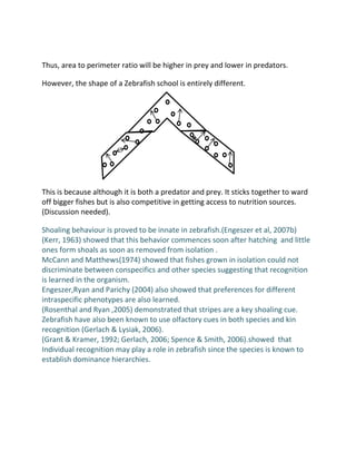 Thus, area to perimeter ratio will be higher in prey and lower in predators.

However, the shape of a Zebrafish school is entirely different.




This is because although it is both a predator and prey. It sticks together to ward
off bigger fishes but is also competitive in getting access to nutrition sources.
(Discussion needed).

Shoaling behaviour is proved to be innate in zebrafish.(Engeszer et al, 2007b)
(Kerr, 1963) showed that this behavior commences soon after hatching and little
ones form shoals as soon as removed from isolation .
McCann and Matthews(1974) showed that fishes grown in isolation could not
discriminate between conspecifics and other species suggesting that recognition
is learned in the organism.
Engeszer,Ryan and Parichy (2004) also showed that preferences for different
intraspecific phenotypes are also learned.
(Rosenthal and Ryan ,2005) demonstrated that stripes are a key shoaling cue.
Zebrafish have also been known to use olfactory cues in both species and kin
recognition (Gerlach & Lysiak, 2006).
(Grant & Kramer, 1992; Gerlach, 2006; Spence & Smith, 2006).showed that
Individual recognition may play a role in zebrafish since the species is known to
establish dominance hierarchies.
 