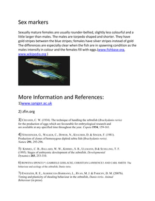 Sex markers
Sexually mature females are usually rounder-bellied, slightly less colourful and a
little larger than males. The males are torpedo shaped and shorter. They have
gold stripes between the blue stripes; females have silver stripes instead of gold
The differences are especially clear when the fish are in spawning condition as the
males intensify in colour and the females fill with eggs.(www.fishbase.org,
www.wikipedia.org )




More Information and References:
1)www.sanger.ac.uk

2) zfin.org

3) CREASER, C. W. (1934). The technique of handling the zebrafish (Brachydanio rerio)
for the production of eggs which are favourable for embryological research and
are available at any specified time throughout the year. Copeia 1934, 159-161.

4) STREISINGER, G., WALKER, C., DOWER, N., KNAUBER, D. & SINGER, F. (1981).
Production of clones of homozygous diploid zebra fish (Brachydanio rerio).
Nature 291, 293-296.

5) KIMMEL, C. B., BALLARD, W. W., KIMMEL, S. R., ULLMANN, B & SCHILLING, T. F.
(1995). Stages of embryonic development of the zebrafish. Developmental
Dynamics 203, 253-310.

6) ROWENA SPENCE1*, GABRIELE GERLACH2, CHRISTIAN LAWRENCE3 AND CARL SMITH               The
behaviour and ecology of the zebrafish, Danio rerio.

7) ENGESZER, R. E., ALBERICI DA BARBIANO, L., RYAN, M. J. & PARICHY, D. M. (2007b).
Timing and plasticity of shoaling behaviour in the zebrafish, Danio rerio. Animal
Behaviour (in press).
 