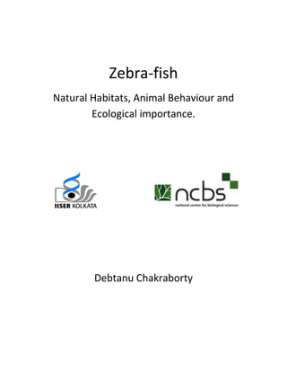 Zebra-fish
Natural Habitats, Animal Behaviour and
        Ecological importance.




        Debtanu Chakraborty
 