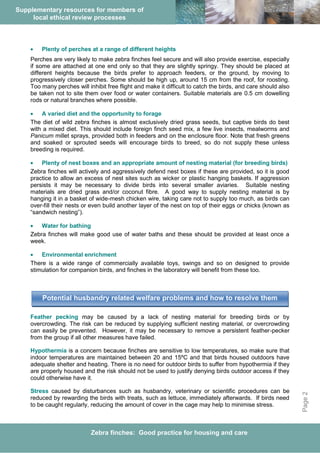 Zebra finches satellite | PDF