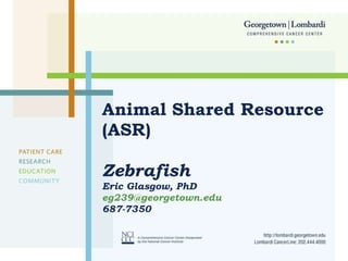 Animal Shared Resource (ASR)  Zebrafish Eric Glasgow, PhD  [email_address] 687-7350 