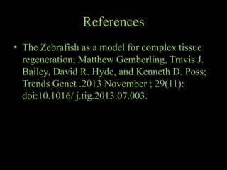 Zebrafish as a model organism for regeneration studies | PPTX