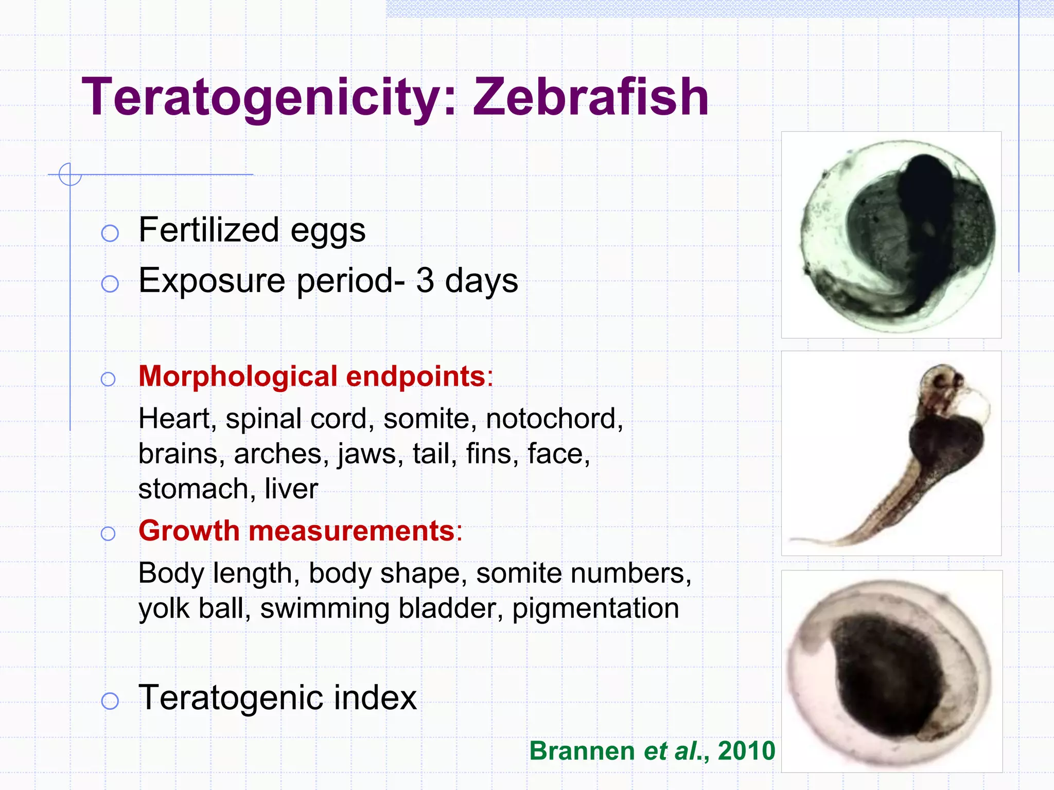 o Fertilized eggs
o Exposure period- 3 days
o Morphological endpoints:
Heart, spinal cord, somite, notochord,
brains, arches, jaws, tail, fins, face,
stomach, liver
o Growth measurements:
Body length, body shape, somite numbers,
yolk ball, swimming bladder, pigmentation
o Teratogenic index
Teratogenicity: Zebrafish
Brannen et al., 2010
 