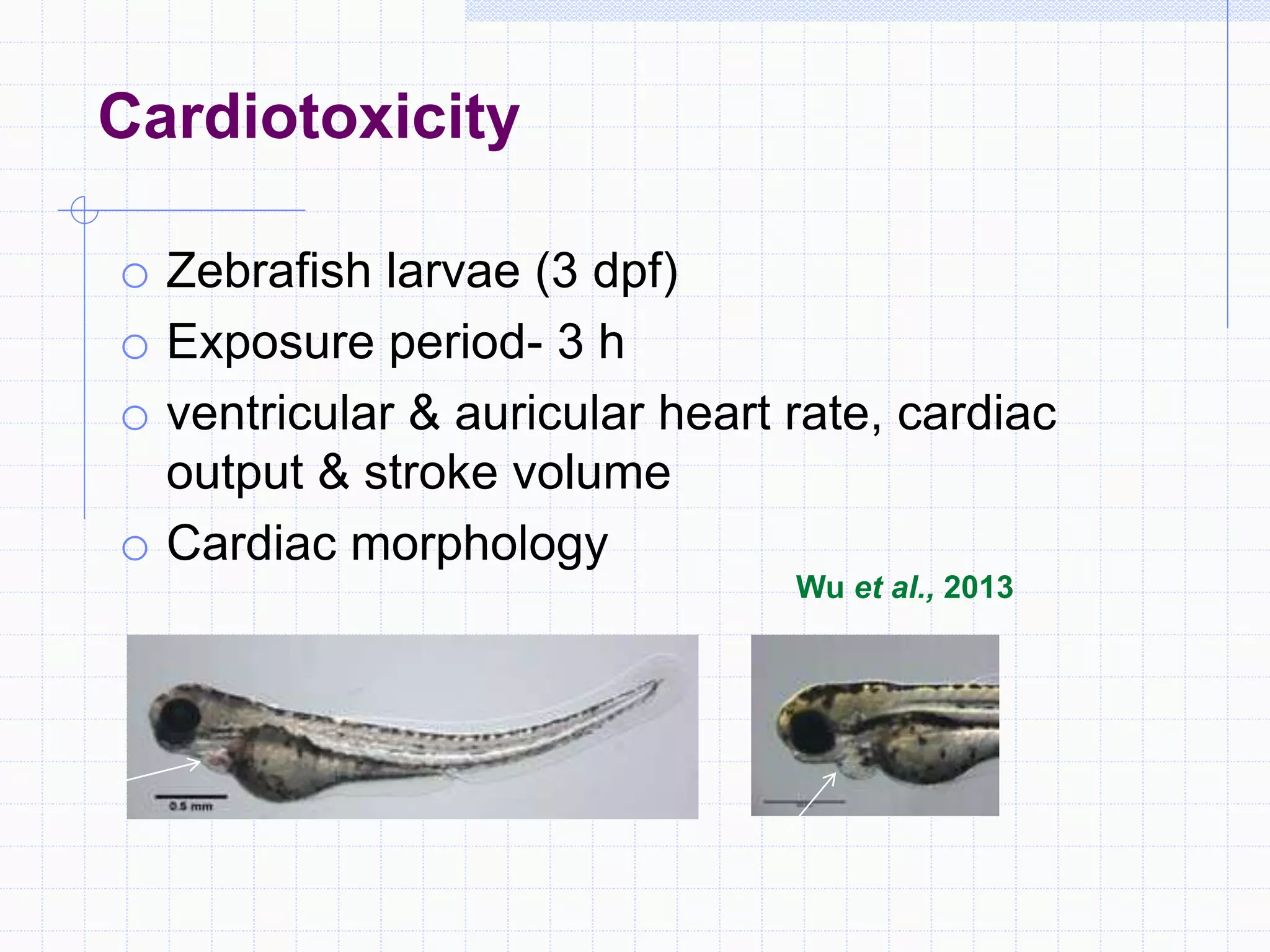Cardiotoxicity
o Zebrafish larvae (3 dpf)
o Exposure period- 3 h
o ventricular & auricular heart rate, cardiac
output & stroke volume
o Cardiac morphology
Wu et al., 2013
 