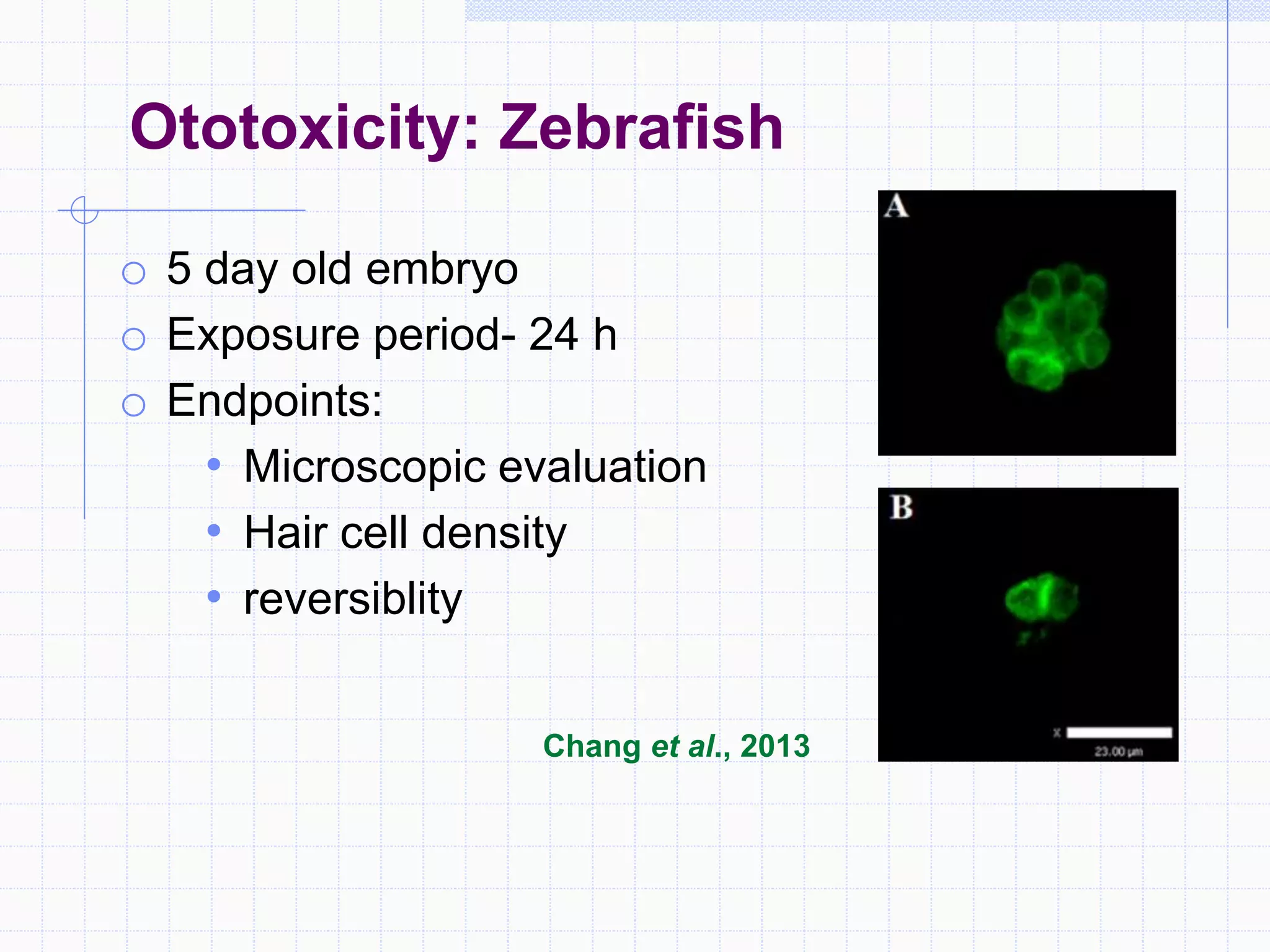 o 5 day old embryo
o Exposure period- 24 h
o Endpoints:
• Microscopic evaluation
• Hair cell density
• reversiblity
Ototoxicity: Zebrafish
Chang et al., 2013
 