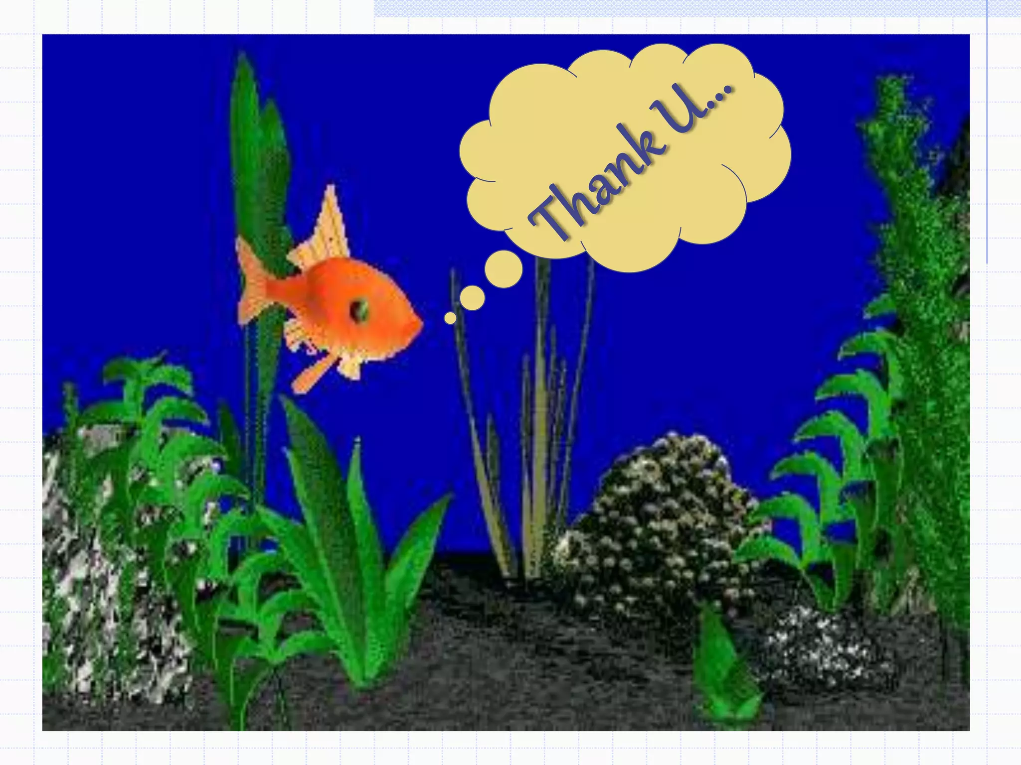 Zebrafish as a model system to study toxicology