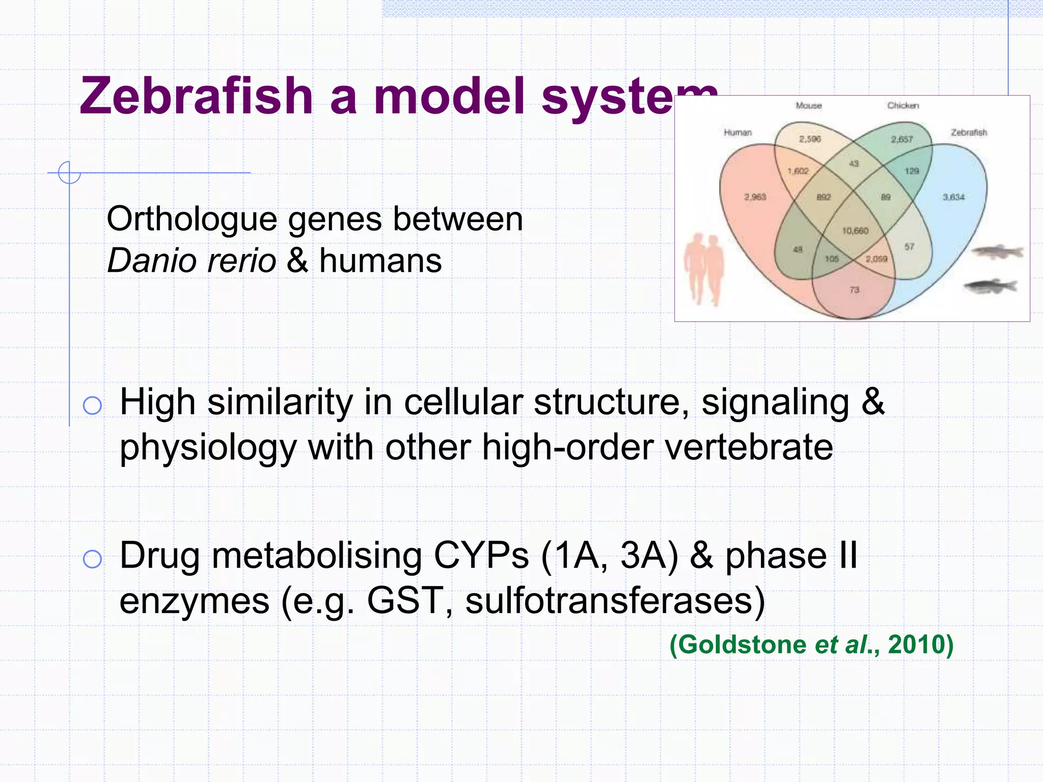 o High similarity in cellular structure, signaling &
physiology with other high-order vertebrate
o Drug metabolising CYPs (1A, 3A) & phase II
enzymes (e.g. GST, sulfotransferases)
(Goldstone et al., 2010)
Zebrafish a model system
Orthologue genes between
Danio rerio & humans
 