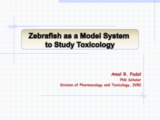 Amol R. Padol
PhD Scholar
Division of Pharmacology and Toxicology, IVRI
 