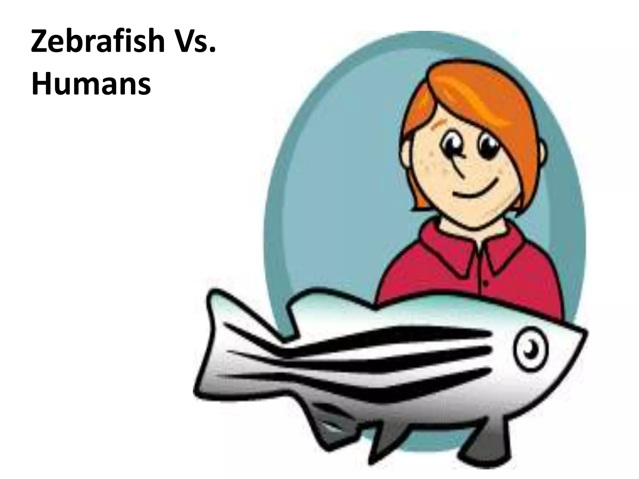 Zebrafish Vs.
Humans
 