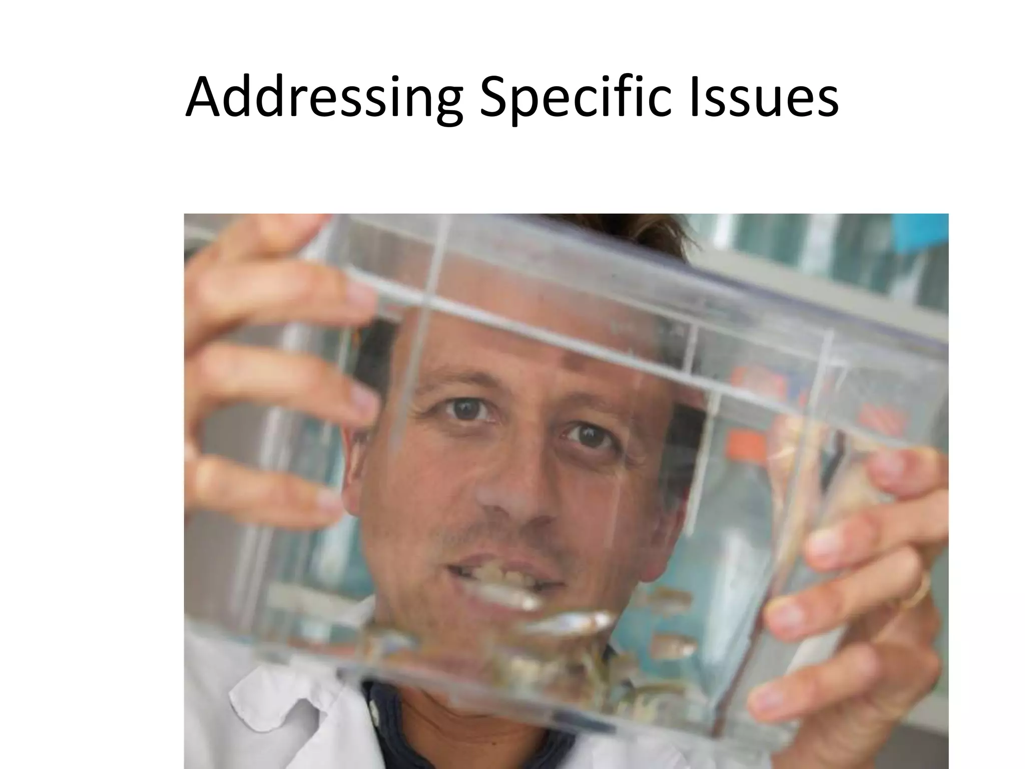 Addressing Specific Issues
 