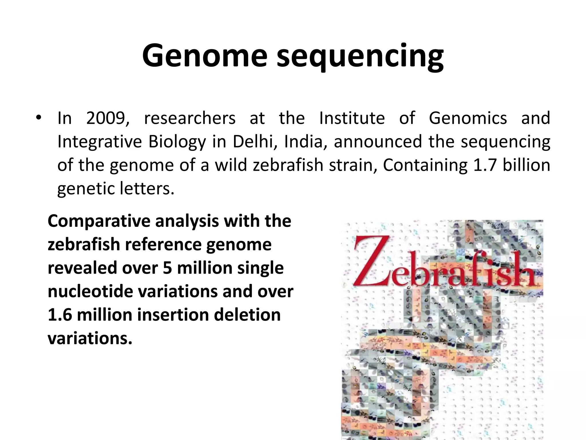 Genome sequencing
• In 2009, researchers at the Institute of Genomics and
Integrative Biology in Delhi, India, announced the sequencing
of the genome of a wild zebrafish strain, Containing 1.7 billion
genetic letters.
Comparative analysis with the
zebrafish reference genome
revealed over 5 million single
nucleotide variations and over
1.6 million insertion deletion
variations.
 