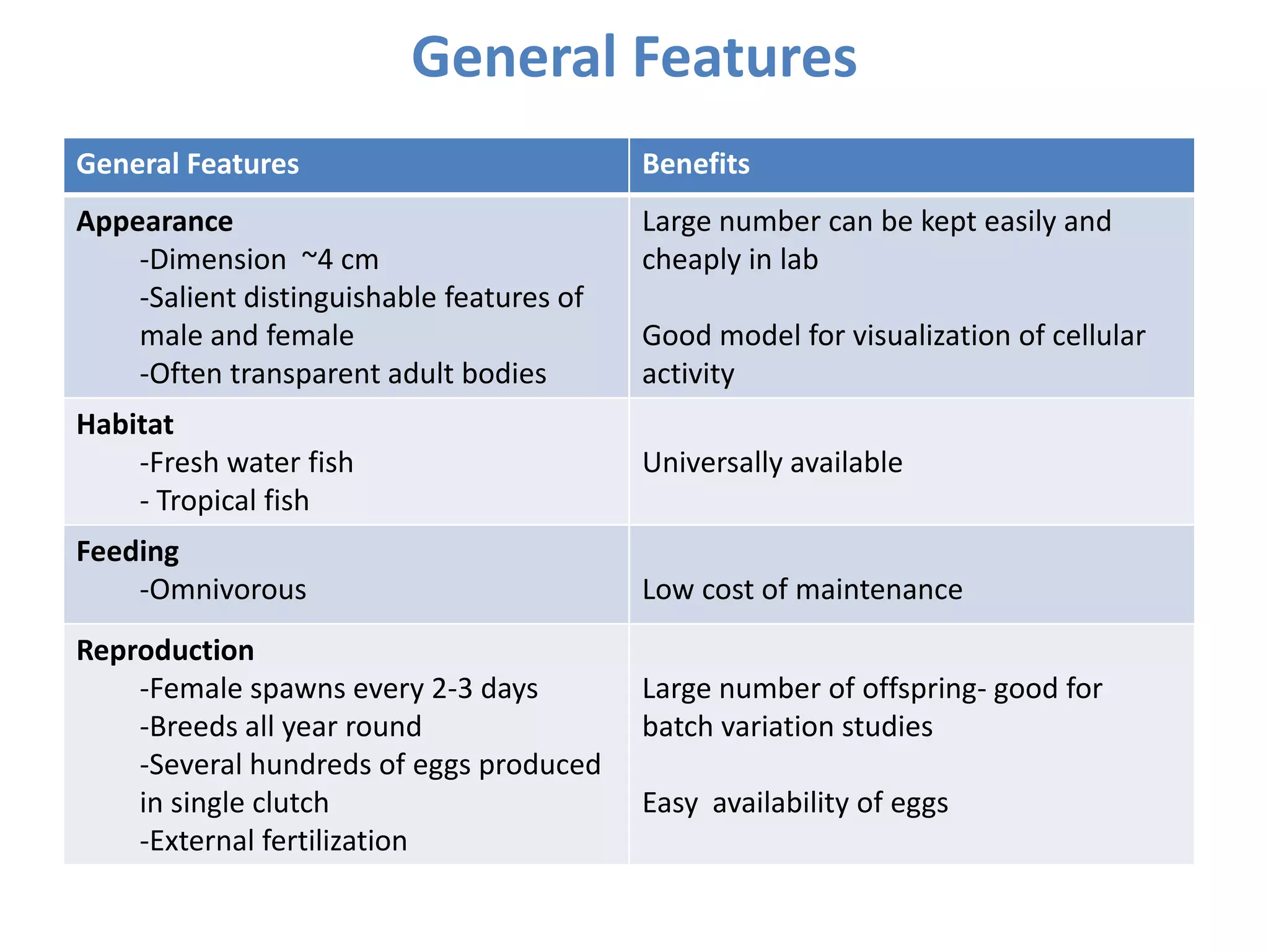 General Features Benefits
Appearance
-Dimension ~4 cm
-Salient distinguishable features of
male and female
-Often transparent adult bodies
Large number can be kept easily and
cheaply in lab
Good model for visualization of cellular
activity
Habitat
-Fresh water fish
- Tropical fish
Universally available
Feeding
-Omnivorous Low cost of maintenance
Reproduction
-Female spawns every 2-3 days
-Breeds all year round
-Several hundreds of eggs produced
in single clutch
-External fertilization
Large number of offspring- good for
batch variation studies
Easy availability of eggs
General Features
 