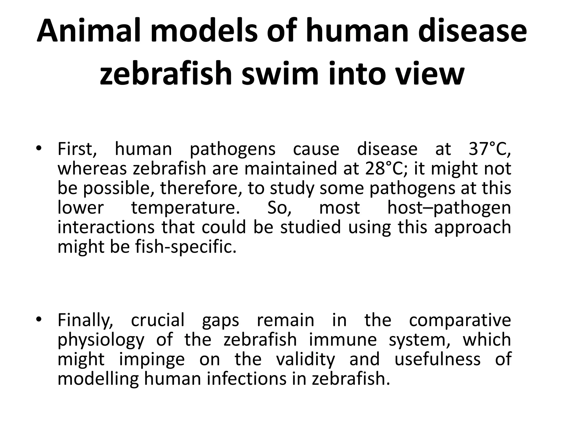 Animal models of human disease
zebrafish swim into view
• First, human pathogens cause disease at 37°C,
whereas zebrafish are maintained at 28°C; it might not
be possible, therefore, to study some pathogens at this
lower temperature. So, most host–pathogen
interactions that could be studied using this approach
might be fish-specific.
• Finally, crucial gaps remain in the comparative
physiology of the zebrafish immune system, which
might impinge on the validity and usefulness of
modelling human infections in zebrafish.
 