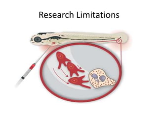 Research Limitations
 