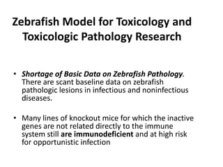 Zebrafish Model for Toxicology and
Toxicologic Pathology Research
• Shortage of Basic Data on Zebrafish Pathology.
There are scant baseline data on zebrafish
pathologic lesions in infectious and noninfectious
diseases.
• Many lines of knockout mice for which the inactive
genes are not related directly to the immune
system still are immunodeficient and at high risk
for opportunistic infection
 