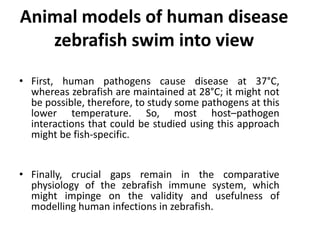 Animal models of human disease
zebrafish swim into view
• First, human pathogens cause disease at 37°C,
whereas zebrafish are maintained at 28°C; it might not
be possible, therefore, to study some pathogens at this
lower temperature. So, most host–pathogen
interactions that could be studied using this approach
might be fish-specific.
• Finally, crucial gaps remain in the comparative
physiology of the zebrafish immune system, which
might impinge on the validity and usefulness of
modelling human infections in zebrafish.
 