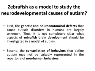 Zebrafish as a model to study the
neurodevelopmental causes of autism?
• First, the genetic and neuroanatomical defects that
cause autistic disorders in humans are largely
unknown. Thus, it is not completely clear what
aspects of zebrafish brain development should be
investigated in a model of autism.
• Second, the constellation of behaviors that define
autism may not be suitably represented in the
repertoire of non-human behaviors.
 