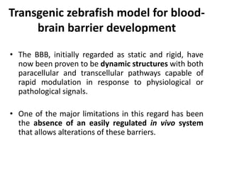 Transgenic zebrafish model for blood-
brain barrier development
• The BBB, initially regarded as static and rigid, have
now been proven to be dynamic structures with both
paracellular and transcellular pathways capable of
rapid modulation in response to physiological or
pathological signals.
• One of the major limitations in this regard has been
the absence of an easily regulated in vivo system
that allows alterations of these barriers.
 