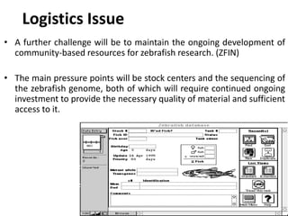 Logistics Issue
• A further challenge will be to maintain the ongoing development of
community-based resources for zebrafish research. (ZFIN)
• The main pressure points will be stock centers and the sequencing of
the zebrafish genome, both of which will require continued ongoing
investment to provide the necessary quality of material and sufficient
access to it.
 