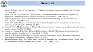 Zebra fish model | PPT