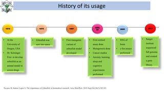 History of its usage
1972
• At the
University of
Oregon, USA
• Dr. Scitsinger
First to develop
zebrafish as an
animal model to
screen drugs
1975
• Zebrafish was
sent into space
1987
• First transgenic
variant of
zebrafish model
developed
1990-
95
• First cortisol
assay done
• Mutagenesis done
• Cancer studies
• Anxiety, learning,
sleep and
cognitive
experiments
performed
2005
• EEG of
brain
• c-fos assays
performed
2013
• Sanger
institute
sequenced
full genome
and created
a gene
library
Tavares B, Santos Lopes S. The importance of Zebrafish in biomedical research. Acta Med Port. 2013 Sep-Oct;26(5):583-92.
 