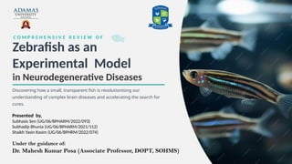 Zebrafish as a Revolutionary Model for Neurodegenerative Disease ...