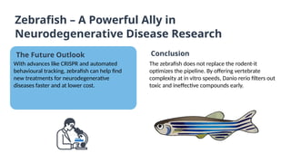 Zebrafish as a Revolutionary Model for Neurodegenerative Disease ...