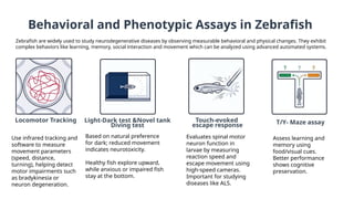 Zebrafish as a Revolutionary Model for Neurodegenerative Disease ...