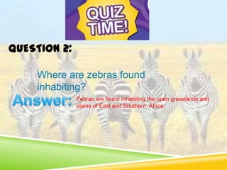 Where are zebras found
inhabiting?
Zebras are found inhabiting the open grasslands and
plains of East and Southern Africa.
QUESTION 2:
 
