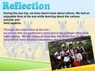 During the zoo trip, we have learnt more about zebras. We had an
enjoyable time at the zoo while learning about the various
animals and
their aspects.
Through the experience at the zoo,
we realize that we could learn more about the animals other than
sight seeing. We are happy to have this trip to the Zoo as we
have learnt more detailed information about the animals there.
 