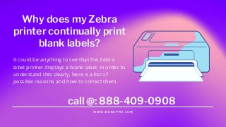 Zebra printer printing blank labels
