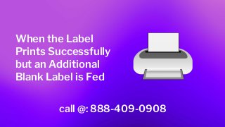 Zebra printer printing blank labels