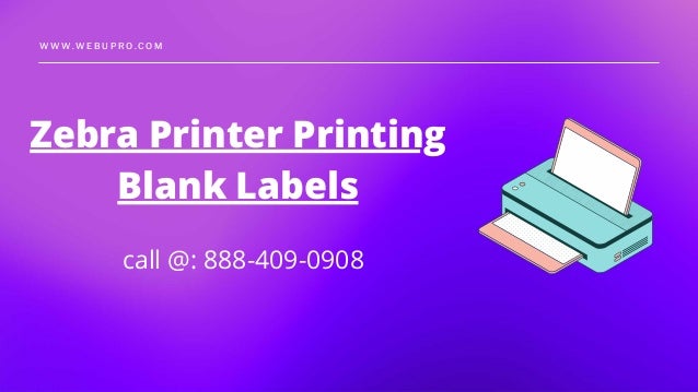 Zebra printer printing blank labels