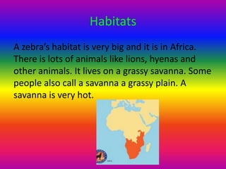 Habitats
A zebra’s habitat is very big and it is in Africa.
There is lots of animals like lions, hyenas and
other animals. It lives on a grassy savanna. Some
people also call a savanna a grassy plain. A
savanna is very hot.
 