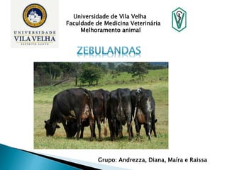 Universidade de Vila Velha 
Faculdade de Medicina Veterinária 
Melhoramento animal 
Grupo: Andrezza, Diana, Maíra e Raissa 
 