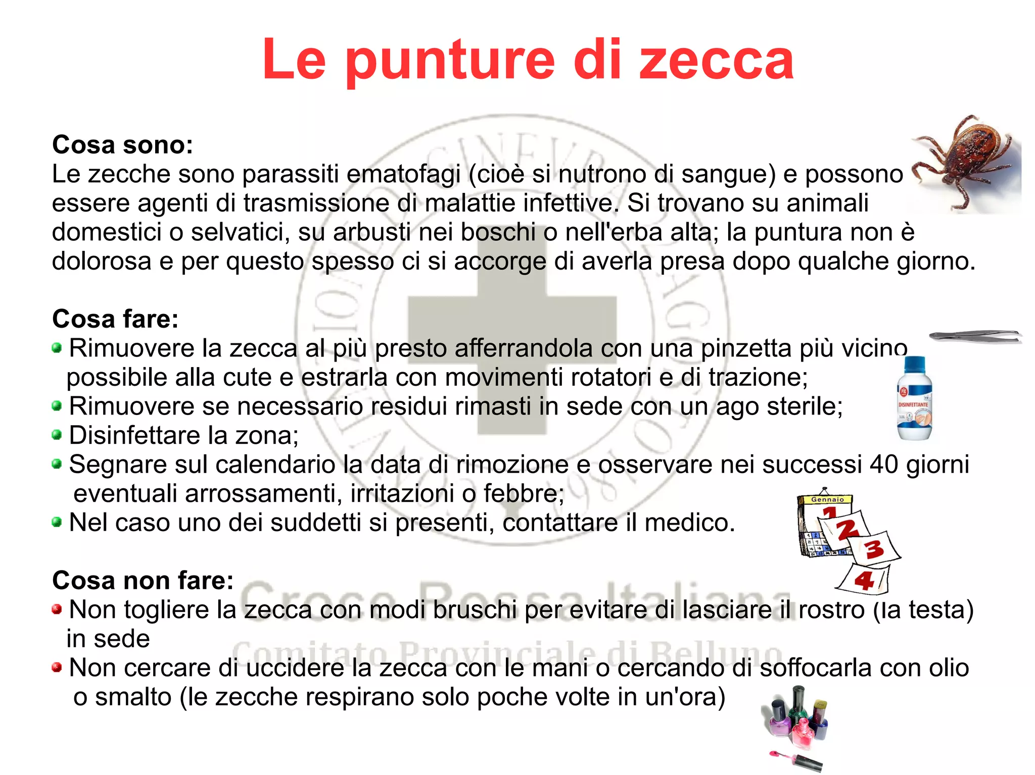 Zecche ODP