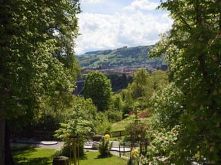 RECEP İBRAHİMOĞLU
 