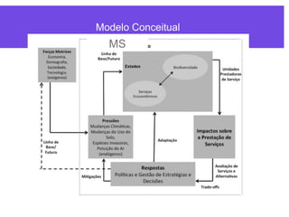 Modelo Conceitual
MS
 