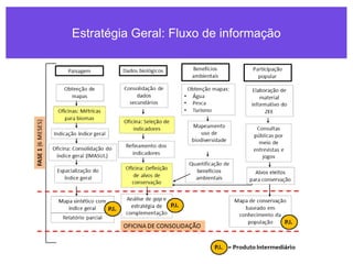 Estratégia Geral: Fluxo de informação
 