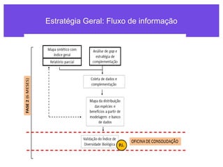 Estratégia Geral: Fluxo de informação
 