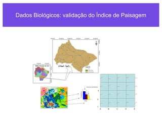 Dados Biológicos: validação do Índice de Paisagem
A B C D E
1
2
3
4
5
A B C D E
1
2
3
4
5
 