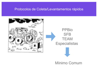 Protocolos de Coleta/Levantamentos rápidos
PPBio
SFB
TEAM
Especialistas
Mínimo Comum
 