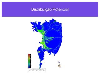 Distribuição Potencial
 