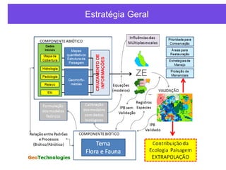 Estratégia Geral
ZE
E
 